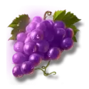 icon 4