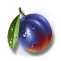 icon 5