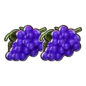icon 4