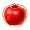 icon 12