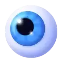 icon 4