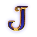 icon 10