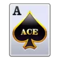 icon 1