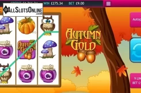 Wild win screen. Autumn Gold from Eyecon