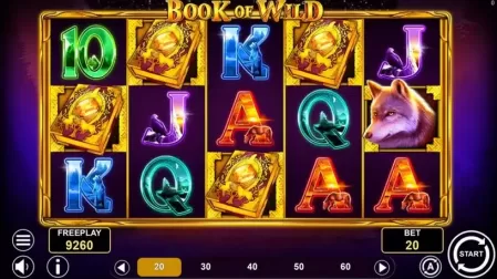 Book of Wild slot screenshot 2
