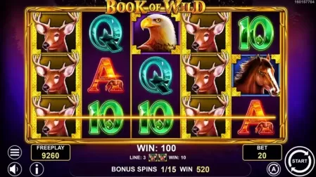 Book of Wild slot screenshot 4