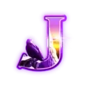 icon 8