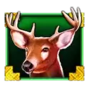 icon 4