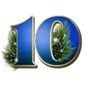icon 9