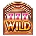 symbol 13