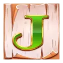 icon 8