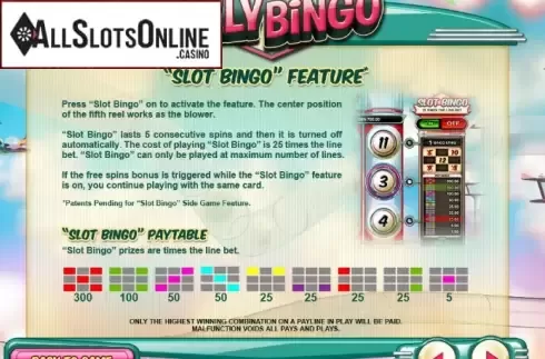Paytable 3. Reely Bingo from Leander Games