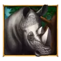 icon 2