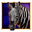 icon 4