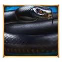 icon 5