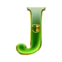 icon 9