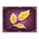 icon 10