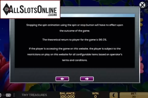 RTP screen. Tiny Treasures from High 5 Games