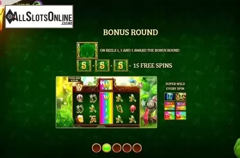 Paytable 2. Wild Rover from Slingo Originals