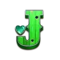 icon 10