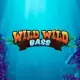 Wild Wild Bass