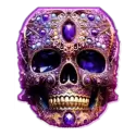 icon 1