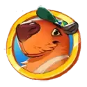 icon 9