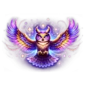 icon 1