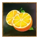 icon 9