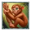 icon 5