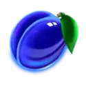 icon 4