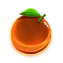 icon 5