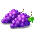 icon 4
