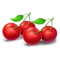 icon 9