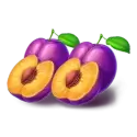 icon 6