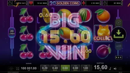 20 Golden Coins slot screenshot 3