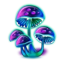 icon 4