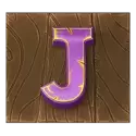 icon 9