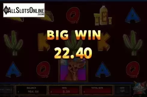 Big Win Screen