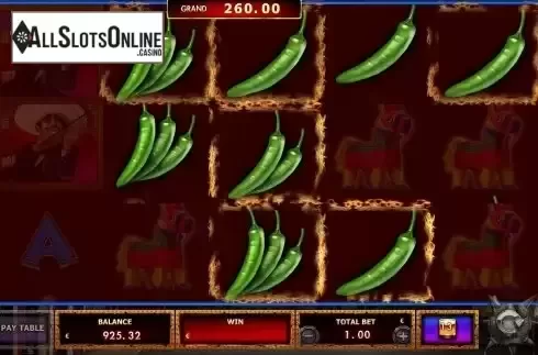 Hold and Win Bonus Game Screen