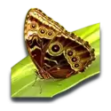 icon 6