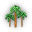 icon 10