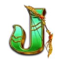 icon 9