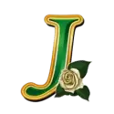 icon 11