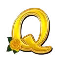 icon 10
