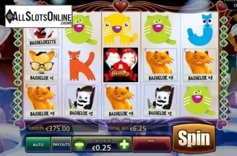 Game Workflow screen . The Purrfect Match from BetConstruct