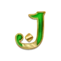 icon 9