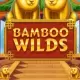 Bamboo Wild