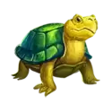 icon 3