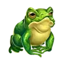 icon 4